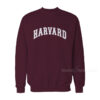 Harvard Recreation Sweatshirt Cheap Trendy Clothes