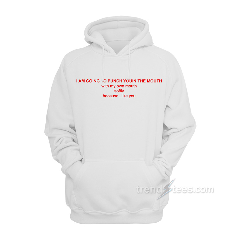 I Am Going To Punch You Hoodie