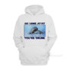 Go Home AT-AT You're Drunk Hoodie