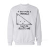 If You Were A Triangle You'd Be Acute One Sweatshirt
