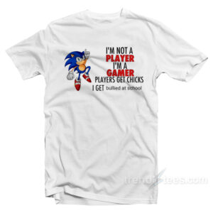 Get It Now Sonic I'm Not A Player I'm A Gamer T-Shirt Unisex