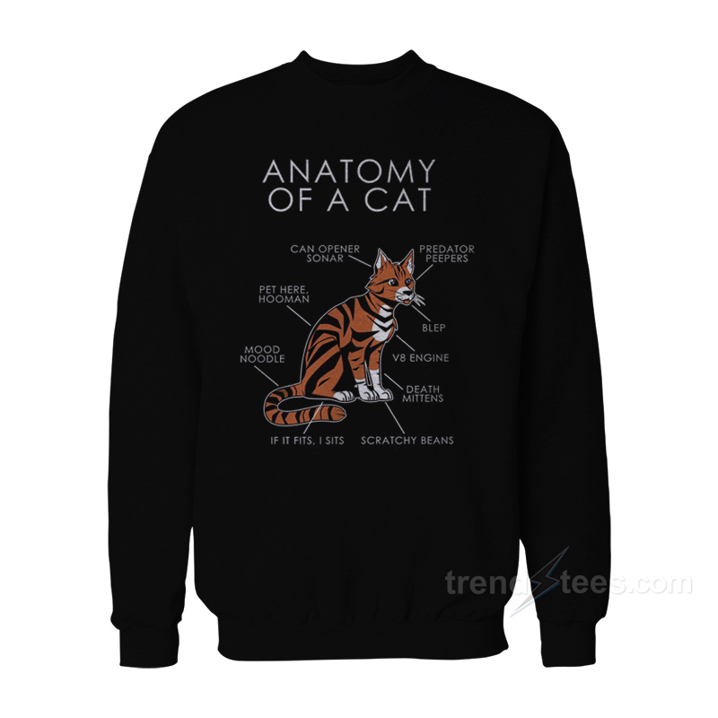 Anatomy Of Cat Sweatshirt