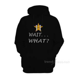 Houston Astros Wait What Hoodie