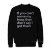 If You Can’t Name My Hoes Then Don’t Say I Got Them Sweatshirt