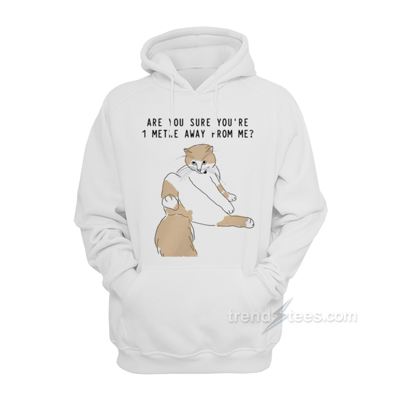 Are You Sure You're 1 Metre Away From Me Hoodie