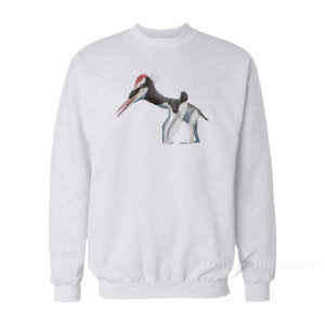 Kryptodrakon Sweatshirt