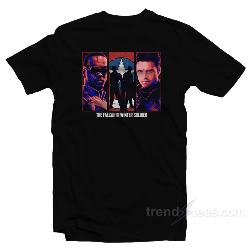 The Falcon And The Winter Soldier T-Shirt