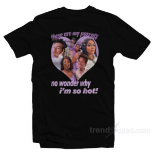 Harry Styles And Lizzo No Wonder Why I'm So Hot T-Shirt