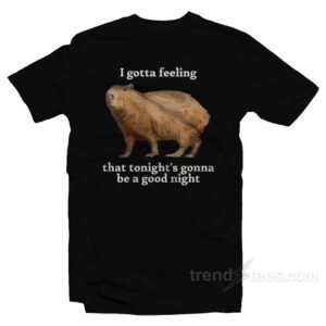 I Gotta Feeling That Tonight's Gonna Be A Good Night T-Shirt