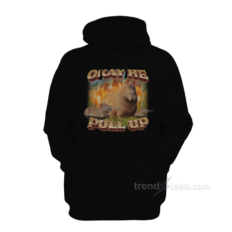 Okay He Pull Up Capybara Hoodie