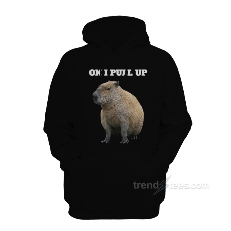 Ok I Pull Up Capybara Hoodie