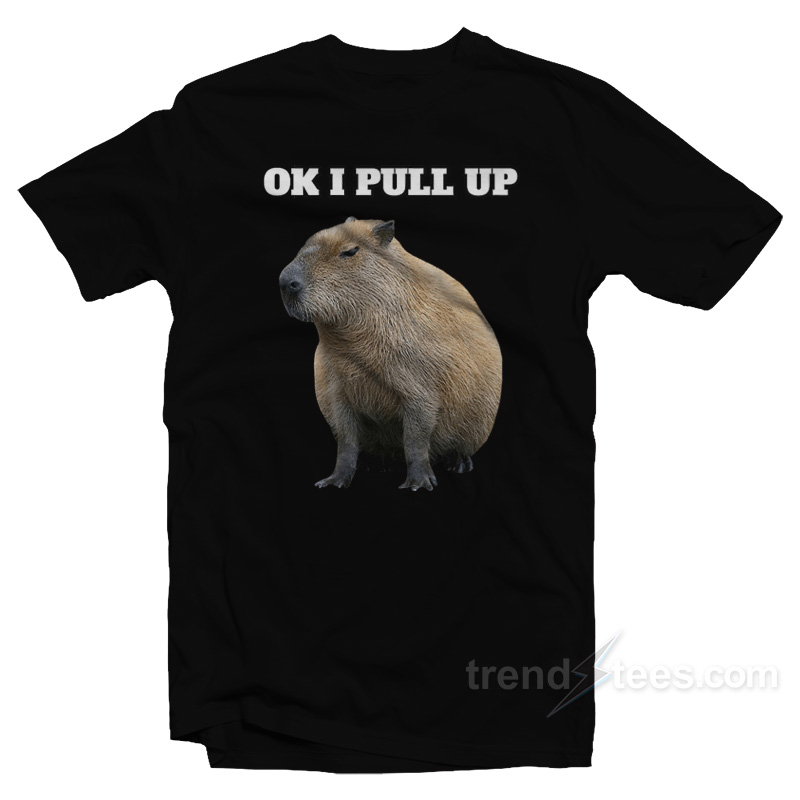Ok I Pull Up Capybara T-Shirt
