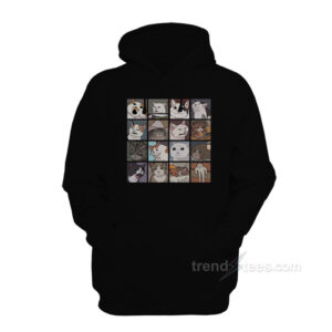 Cat Meme 2.0 Hoodie