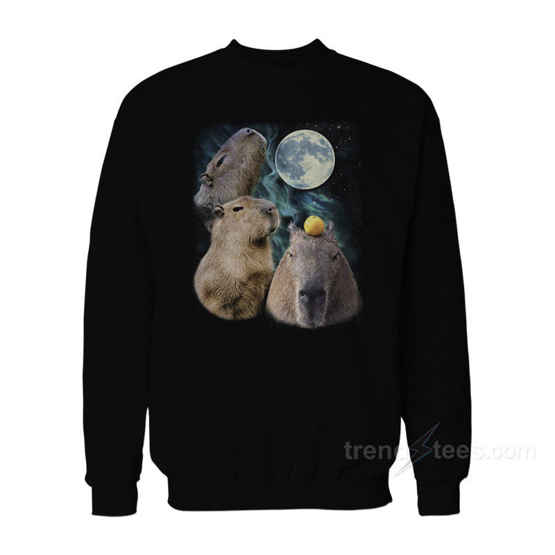 Three Moon Capybaras Sweatshirt