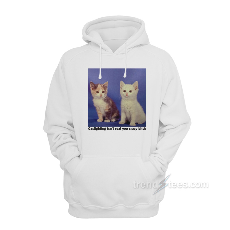 Gaslighting Isn't Real You Crazy Bitch Hoodie