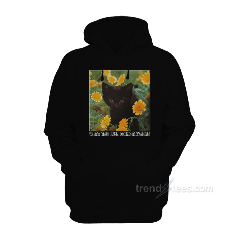 What Am I Even Doing Anymore Hoodie