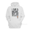 I Am A Meme Not And Influencer Hoodie