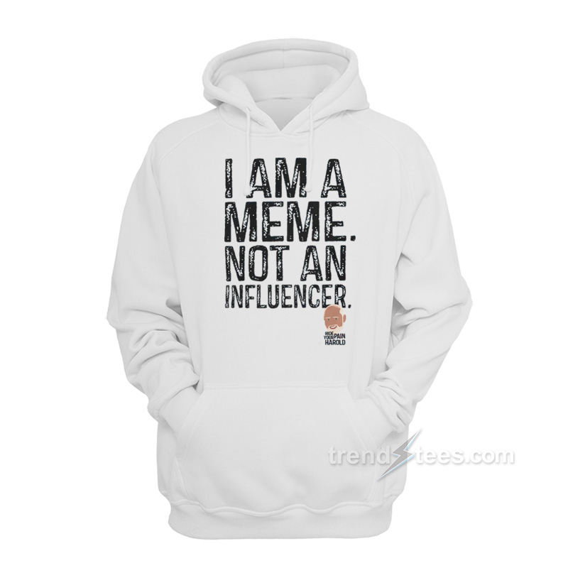 I Am A Meme Not And Influencer Hoodie