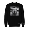 Capybara Selfie with UFOs Weird Sweatshirt