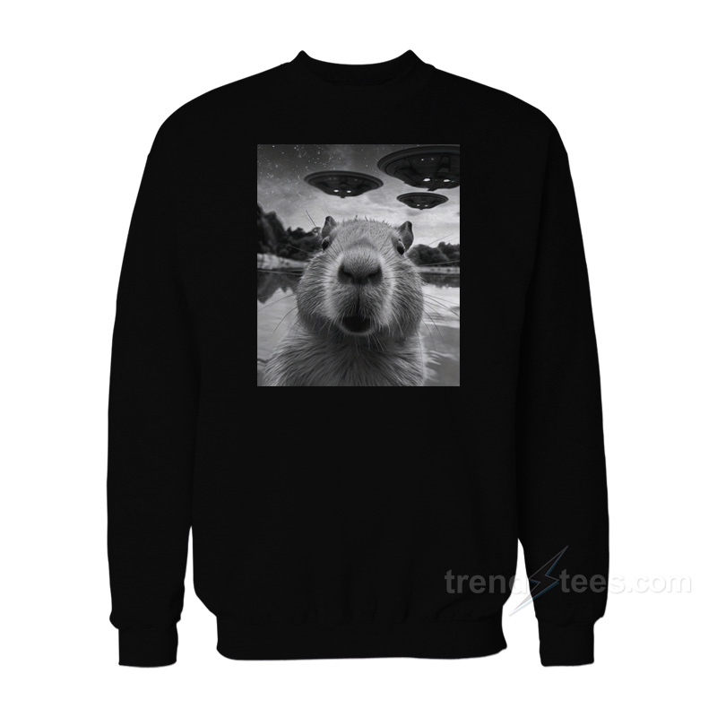 Capybara Selfie with UFOs Weird Sweatshirt