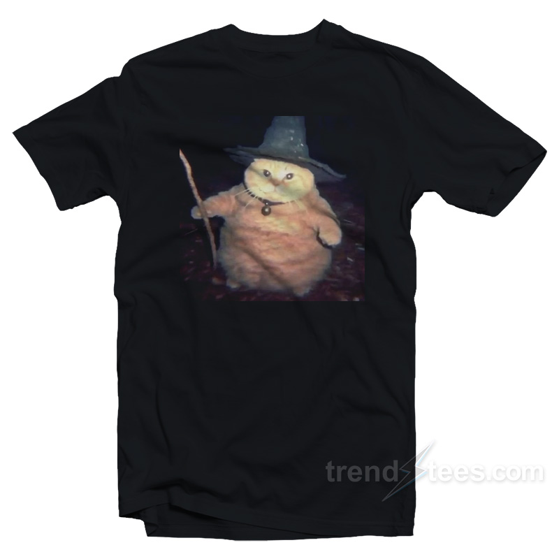 Cat Cheeseball The Wizard T-Shirt