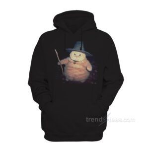 Cat Cheeseball The Wizard Hoodie