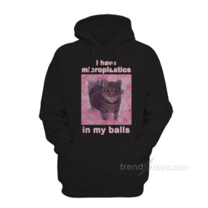 I Have Microplastics In My Balls Cat Meme Hoodie
