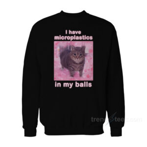 I Have Microplastics In My Balls Cat Meme Sweatshirt