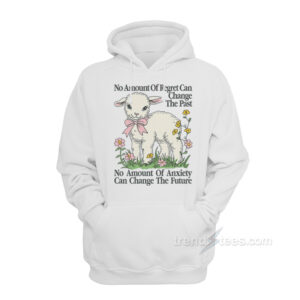 No Amount Of Regret Changes The Past Hoodie