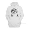 Y2k Retro Cat Meme Hoodie