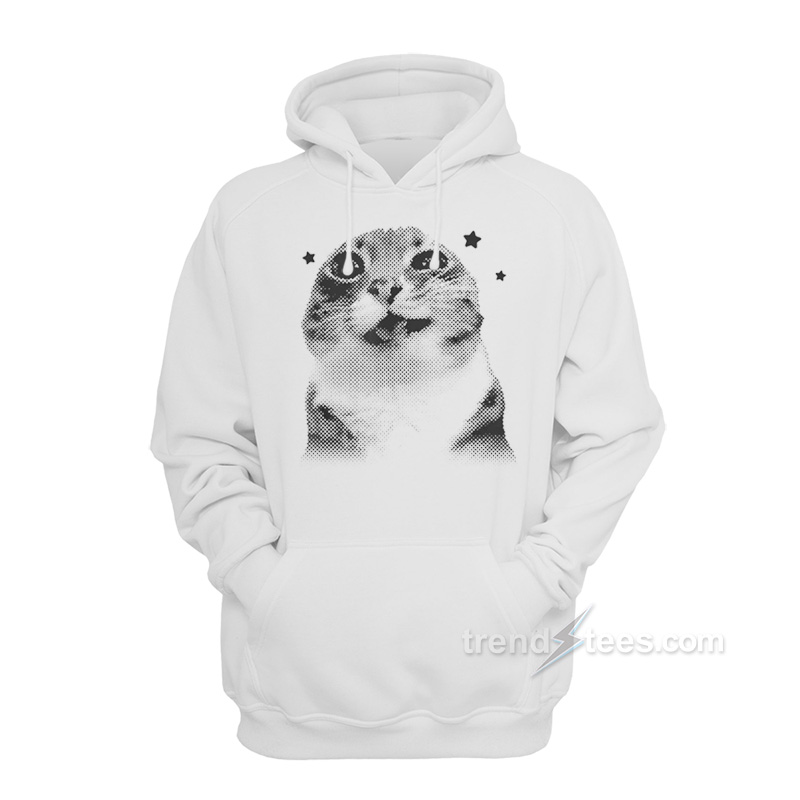 Y2k Retro Cat Meme Hoodie
