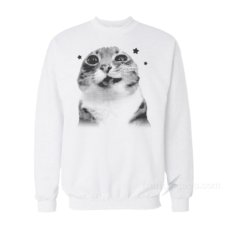 Y2k Retro Cat Meme Sweatshirt
