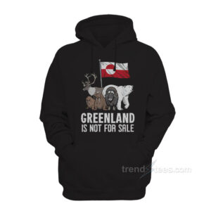 Greenland Is Not For Sale Hoodie