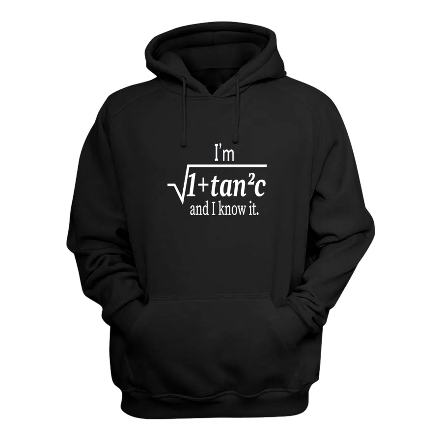 I Am Sexy and I Know It Funny Math Pun Hoodie