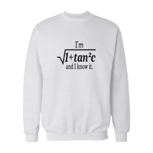 I Am Sexy and I Know It Funny Math Pun Sweatshirt