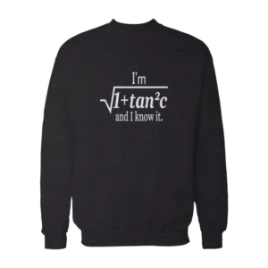 I Am Sexy and I Know It Funny Math Pun Sweatshirt