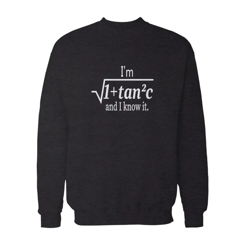 I Am Sexy and I Know It Funny Math Pun Sweatshirt