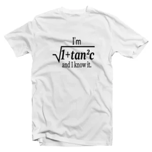 I Am Sexy and I Know It Funny Math Pun T-Shirt